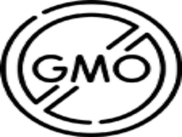 Organic Nourishing Body Wash for Dry Skin - Six Available Fragrances -